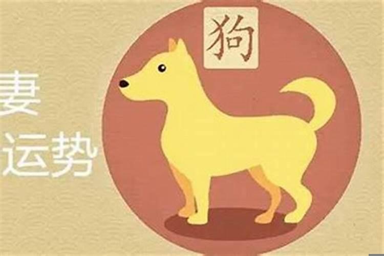 属狗男和属牛女结婚