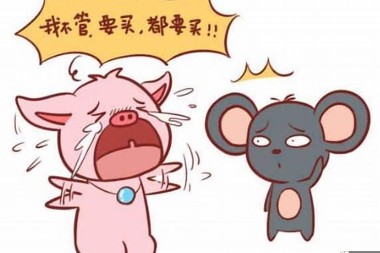 属鼠女和属猪男的婚姻相配吗