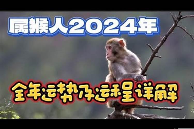 属猴的人在狗年的运势