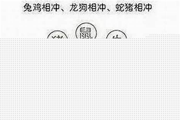 属鼠相刑相克相冲的是哪几个生肖