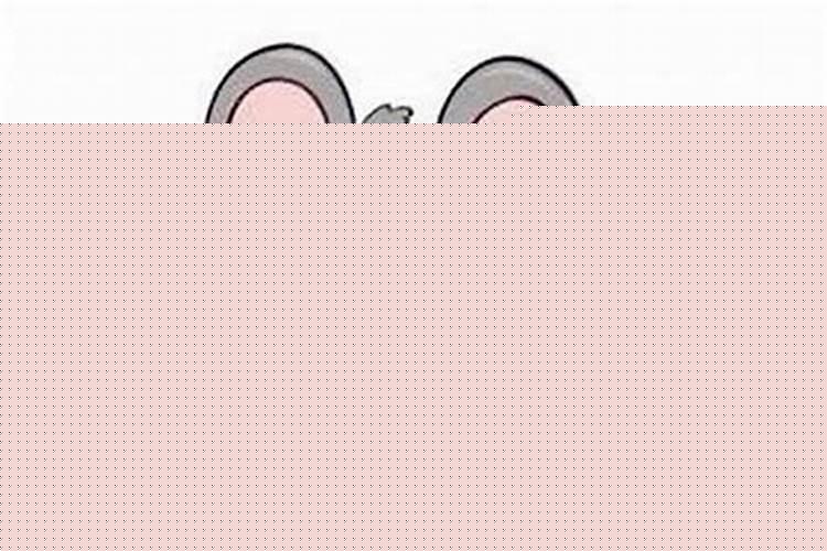 ????????????????????????