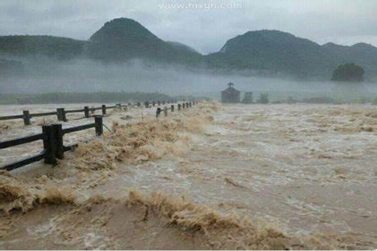 梦见大水追我跑