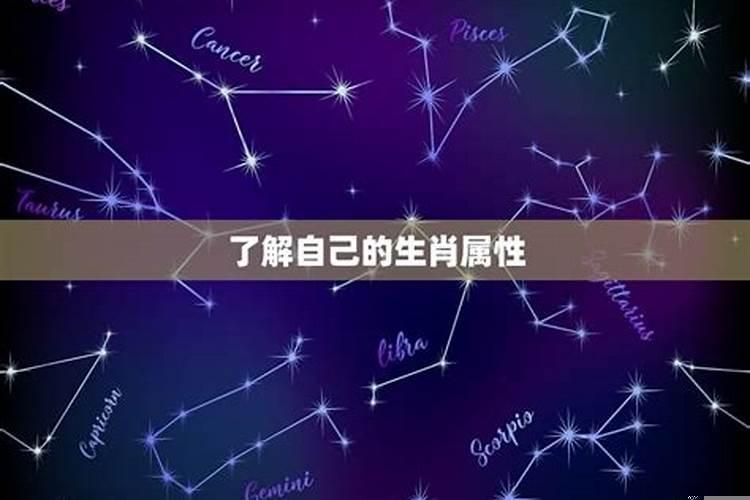 金玉良缘精准的哪一生肖