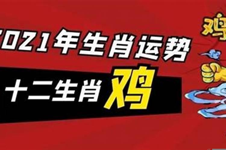 81年属鸡40岁以后交运运势分析