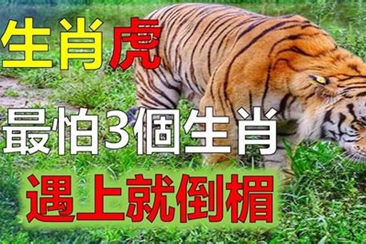 鲁班尺和普通尺一样吗