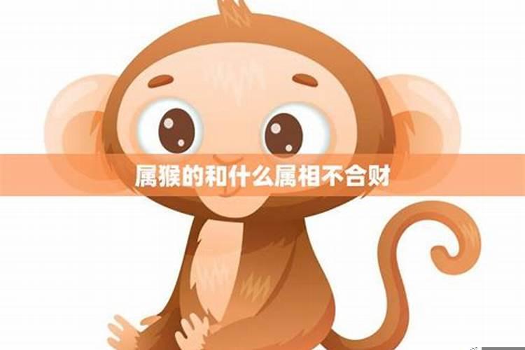 属猴和什么属相合财
