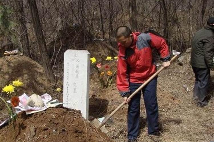 今年清明上坟能动土吗