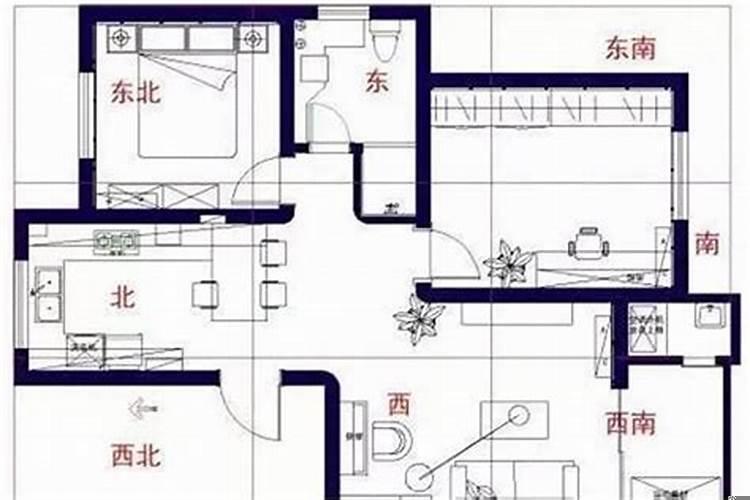 生病的人住过的房子好不好