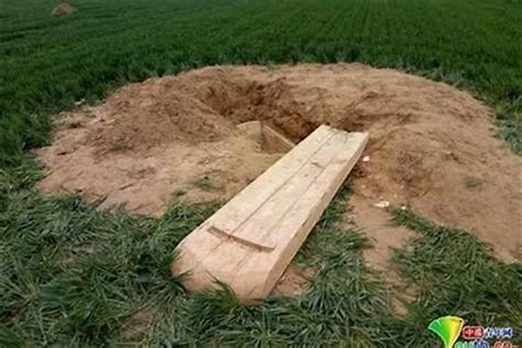 家里祖坟被挖怎么处理