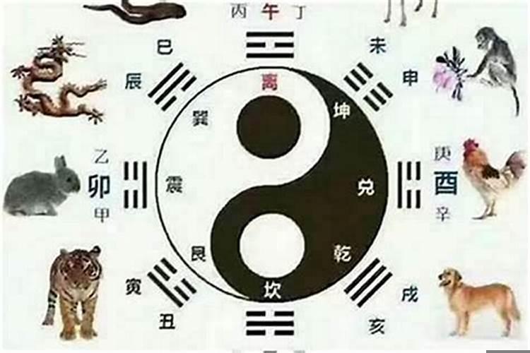 属蛇的和属蛇的相配吗属蛇的婚姻