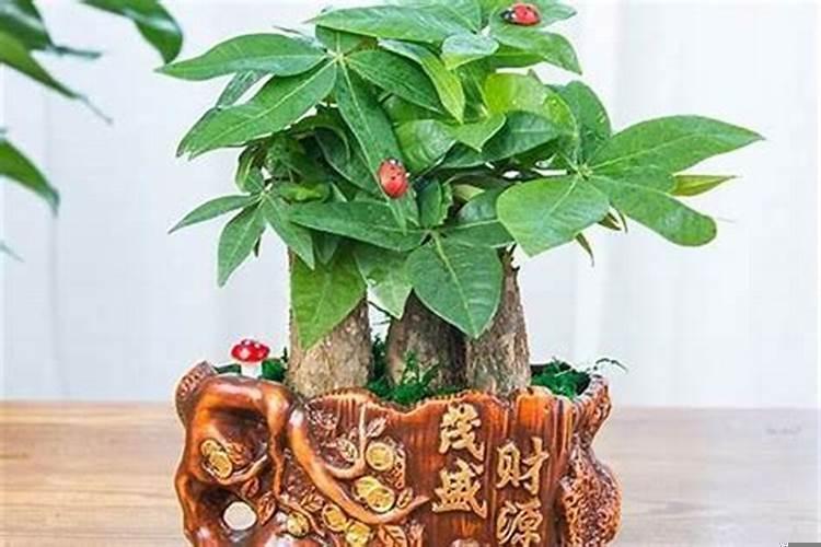 风水吉祥物件有哪些