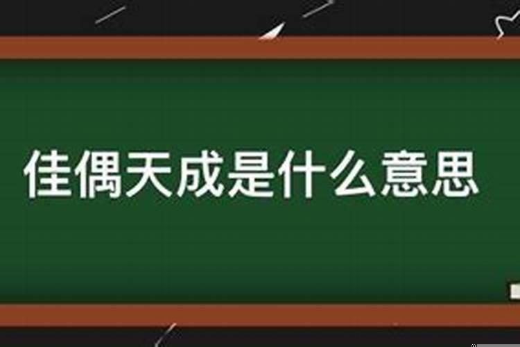 佳偶天合是什么意思