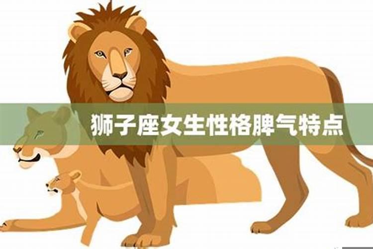 狮子座喜欢脾气大的女生吗