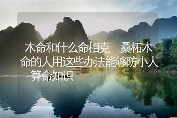 大驿土命和桑拓木命相克吗