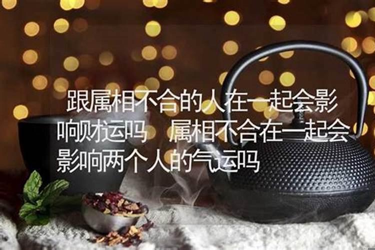 夫妻属相不合会怎样