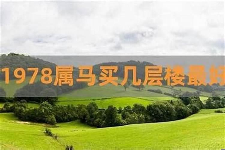 属马的人住哪层楼好
