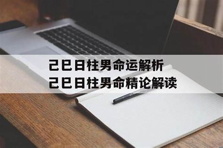 乙未日己卯时男命