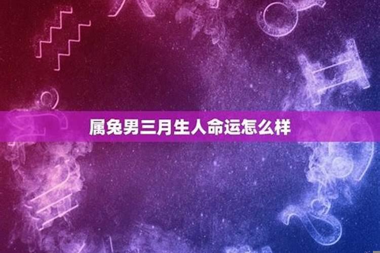 属兔的不同月份出生的命运