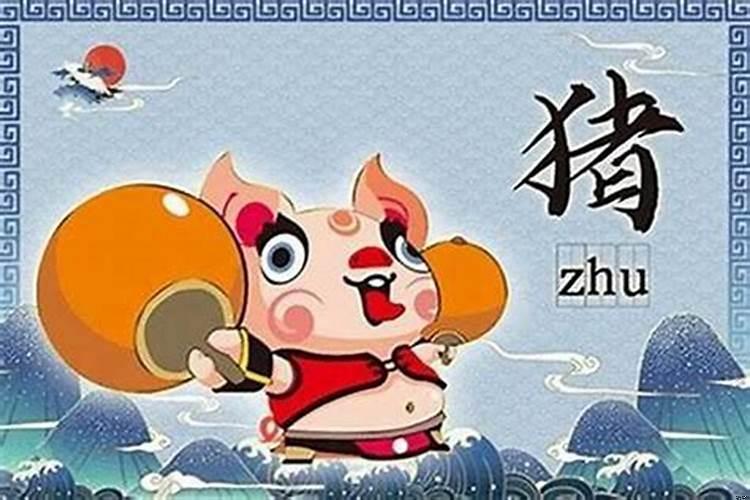 属猪在什么年犯太岁