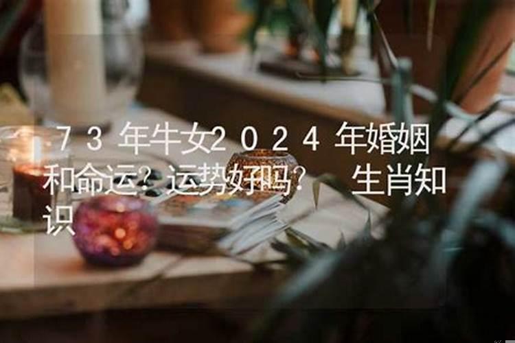73年女牛一生婚姻运势