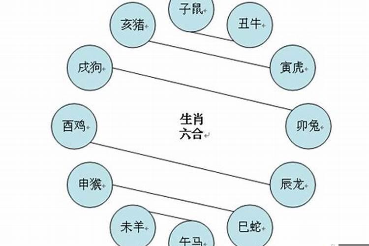 相属相克的属相