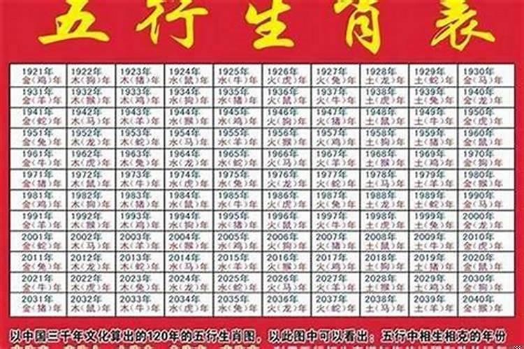 2025年是属于什么生肖的年