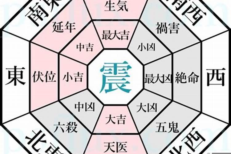 震卦命之人