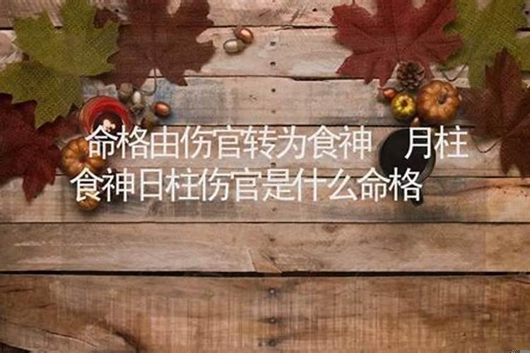 什么是食神，伤官女命