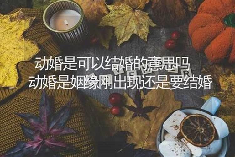婚姻一直不动婚