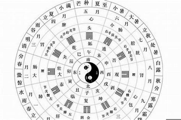 1994五行属什么五行
