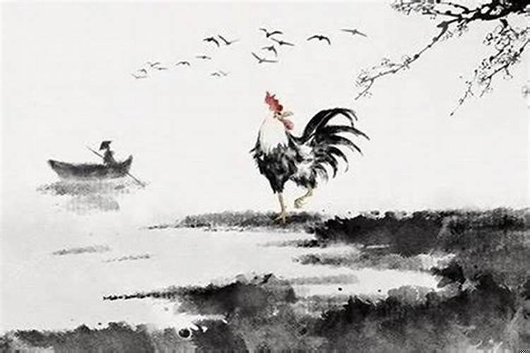 2005年属鸡人高考运