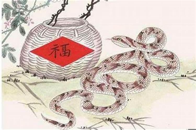 财位适合摆放什么植物好