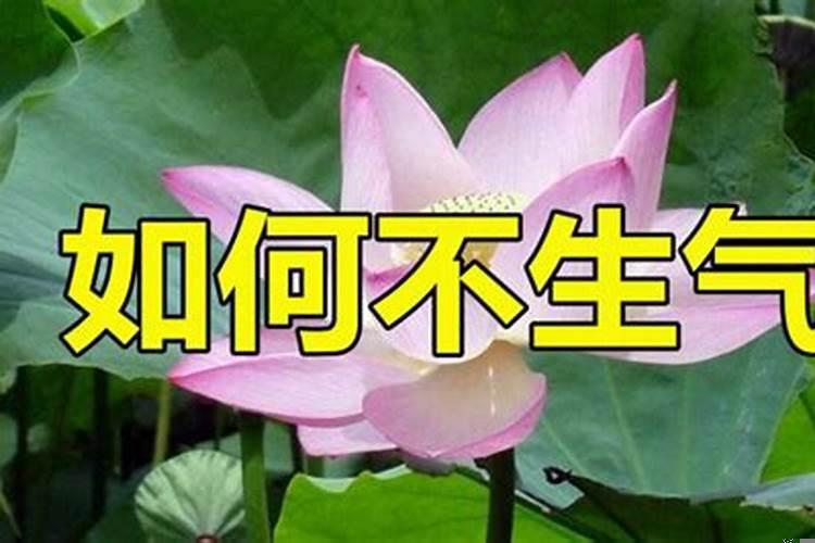 曾国藩如何与小人相处