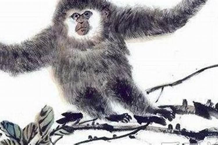 1980属猴的41岁以后