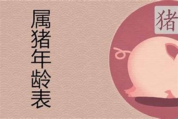 80多岁属猪的多少岁