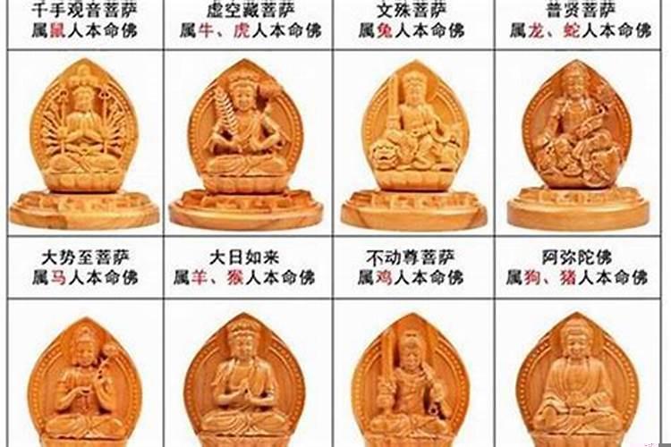 十二生肖守护神分别是什么