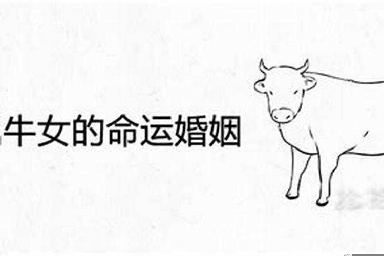 73年女牛一生婚姻运势