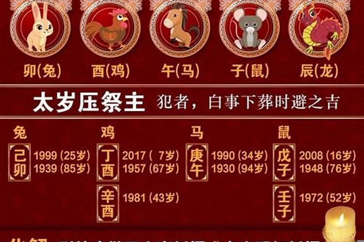 兔鼠年犯太岁