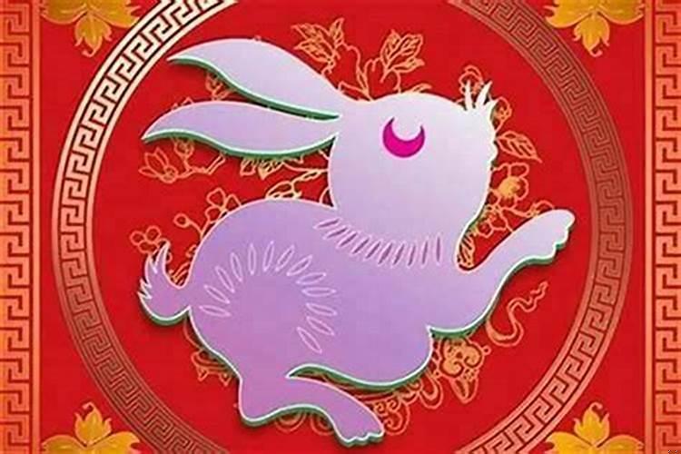 属兔的人能和属马的人结婚吗