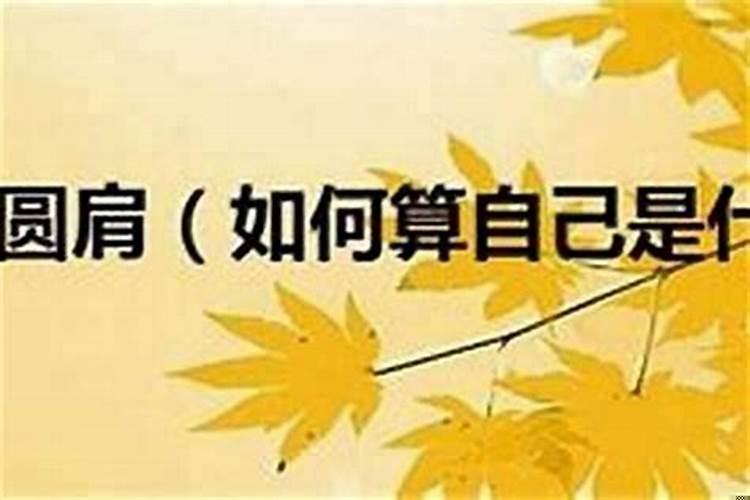 如何算出自己属于什么命