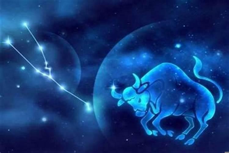 金牛女容易对哪个星座一见钟情