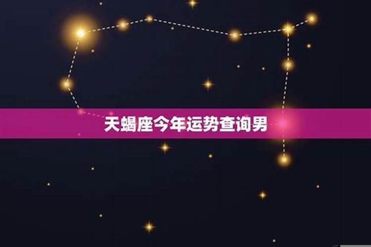 天蝎座今年运势