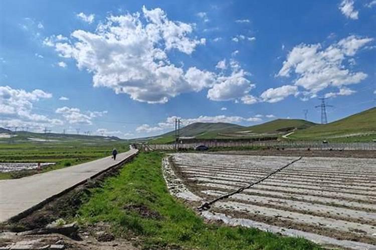 一个运气好的人