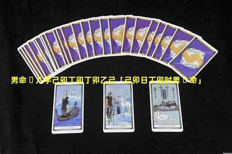 乙未日己卯时男命