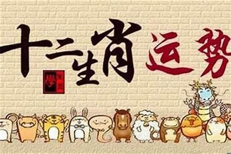 属猪的女人命好吗