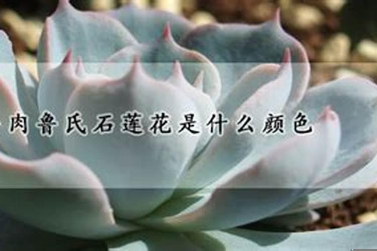 梦见买楼搬家