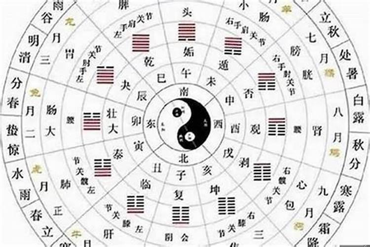 怎么测自己是什么骨相