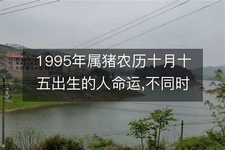 农历十月十五出生的人命运