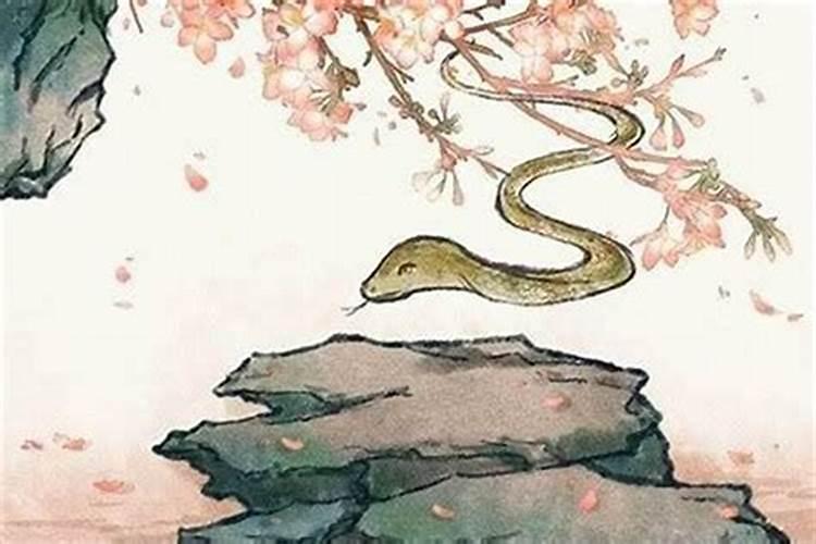 属蛇人2021年全年运势