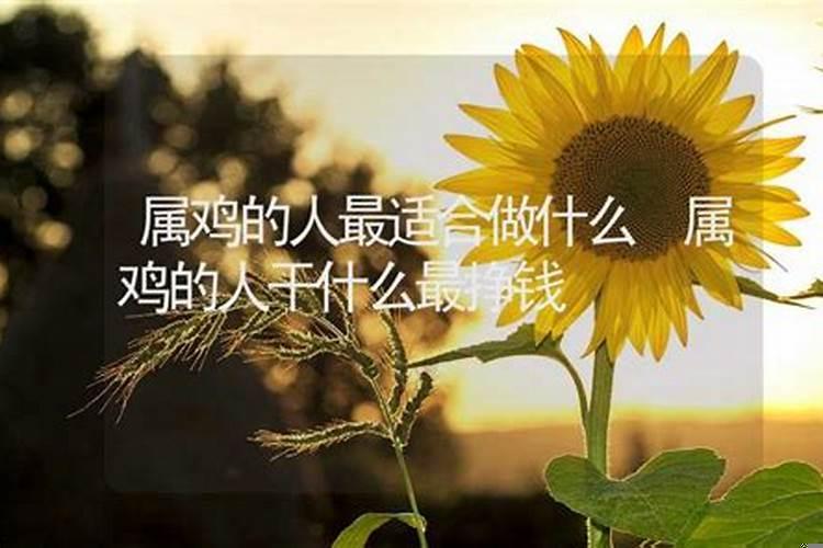属鸡的人干什么最挣钱